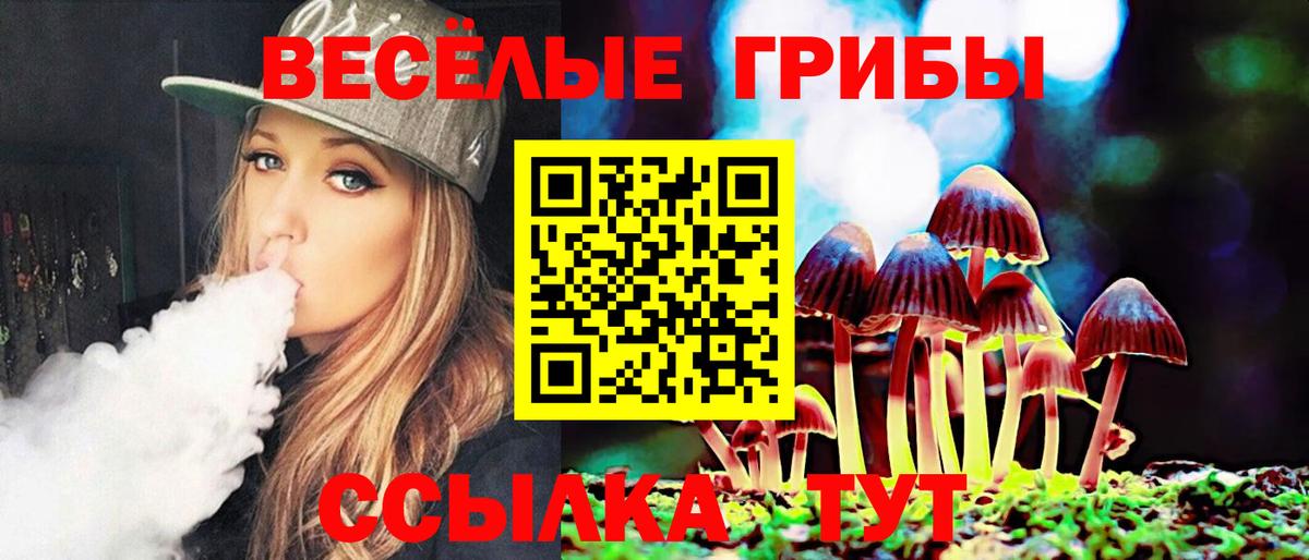 Галлюциногенные грибы прущие грибы Северск